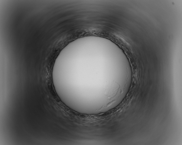 X0000093490917200710121010