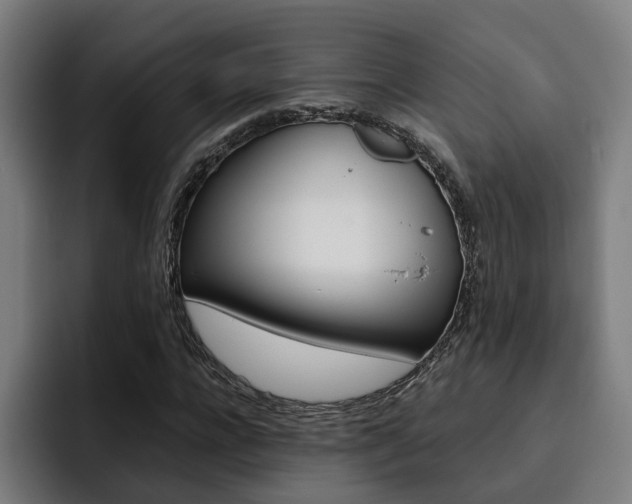X0000093490920200710121010
