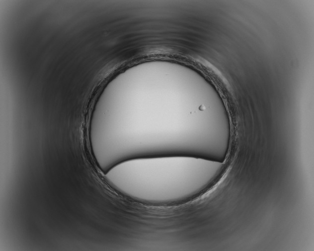 X0000093490921200710121010