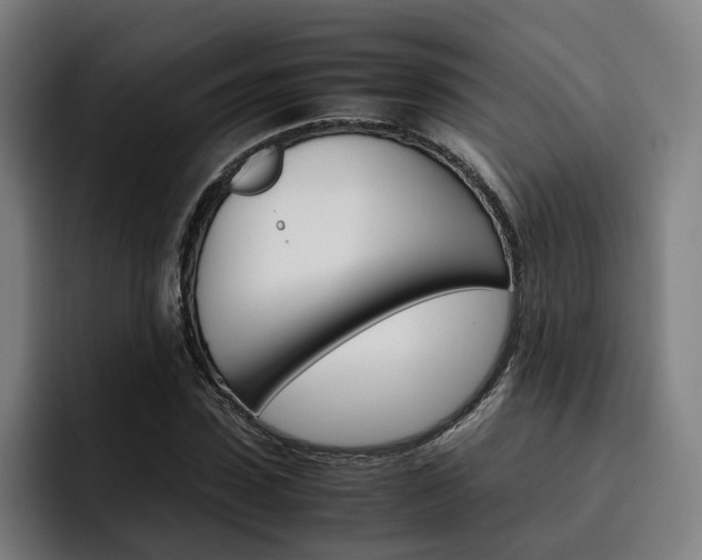 X0000093490923200710121010