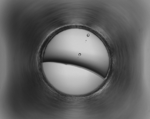 X0000093490926200710121010