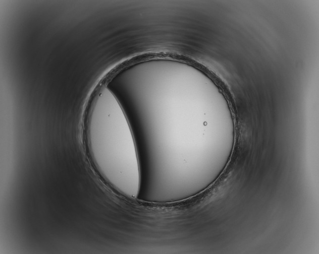 X0000093490927200710121010