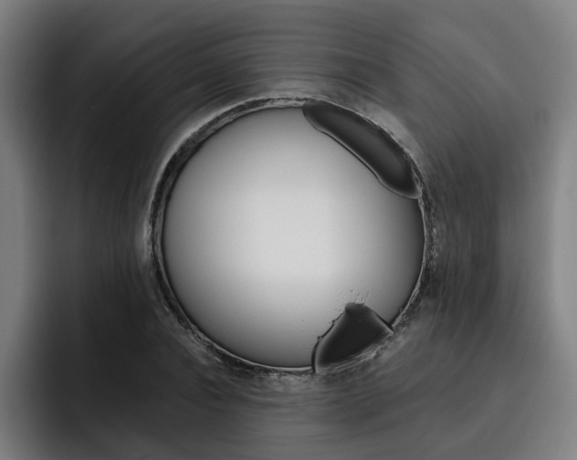 X0000093490928200710121010