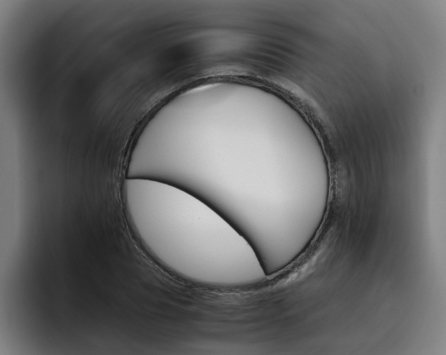 X0000093490929200710121010