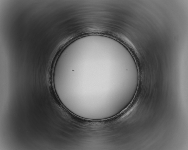 X0000093490930200710121010