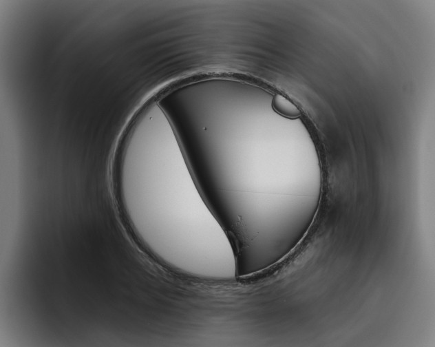 X0000093490934200710121010