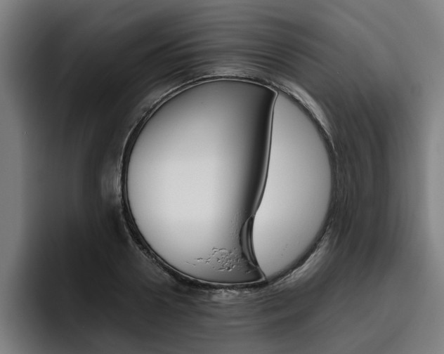 X0000093490938200710121010