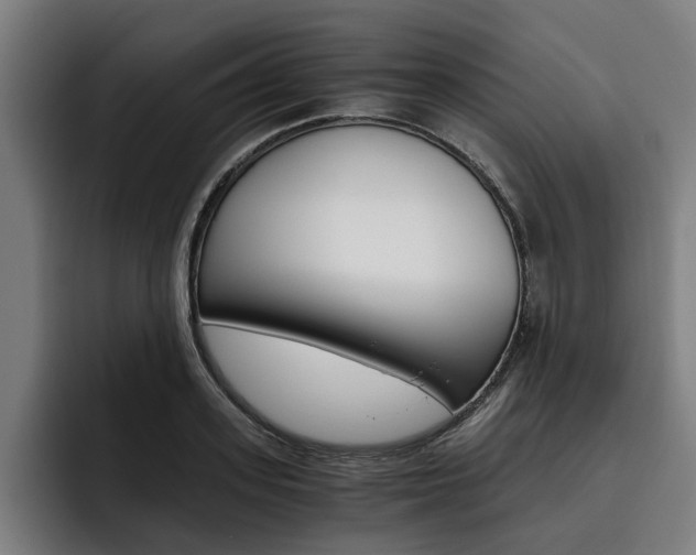 X0000093490939200710121010