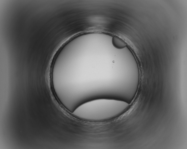 X0000093490941200710121010