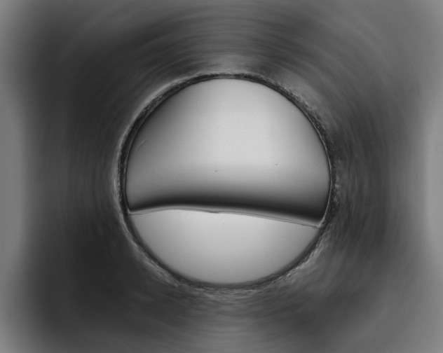 X0000093490942200710121010