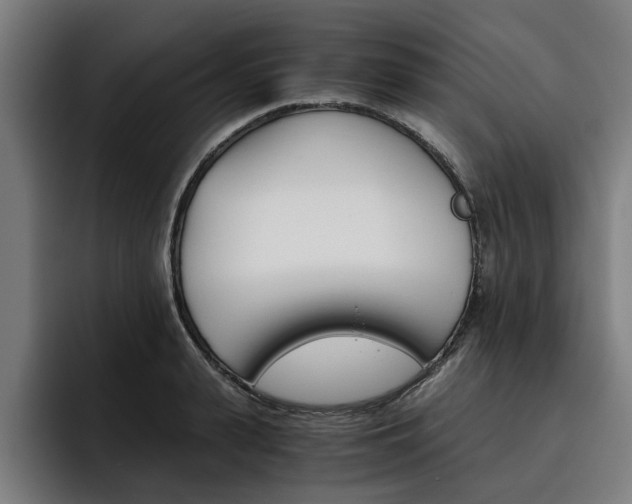 X0000093490943200710121010