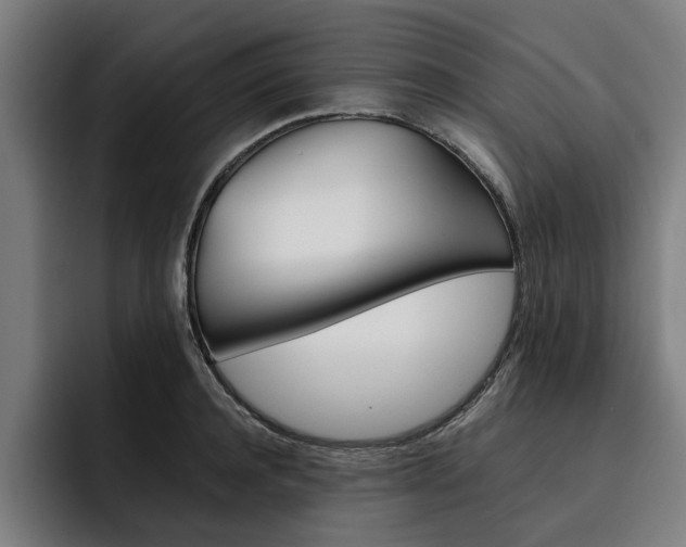 X0000093490944200710121010