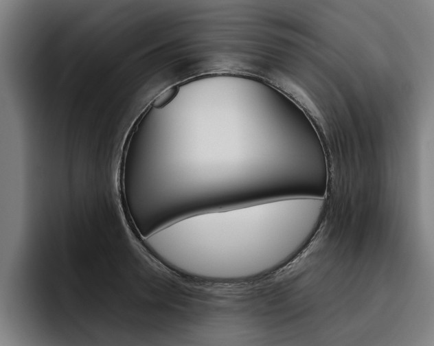 X0000093490946200710121010