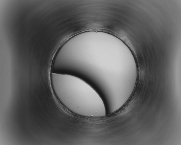 X0000093490954200710121010