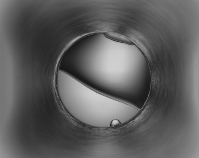 X0000093490956200710121010