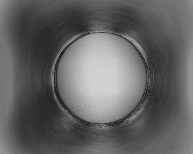 X0000093490957200710121010
