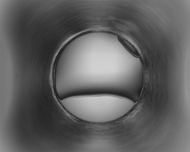 X0000093490959200710121010