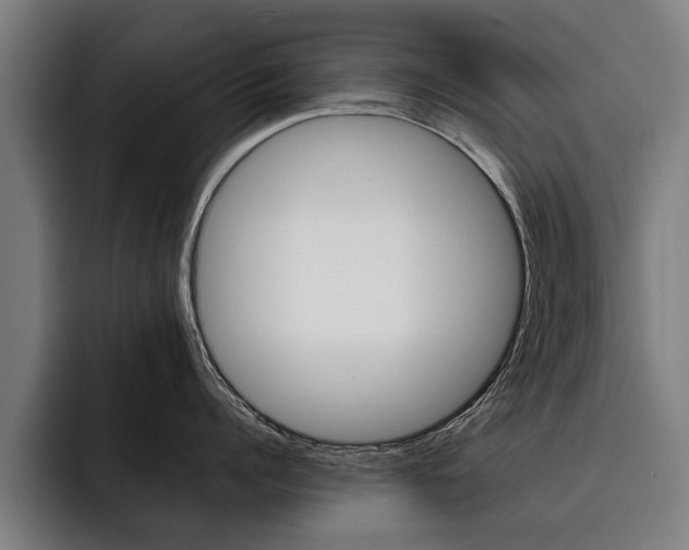 X0000093490960200710121010