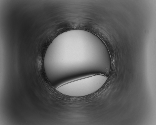 X0000093490963200710121010