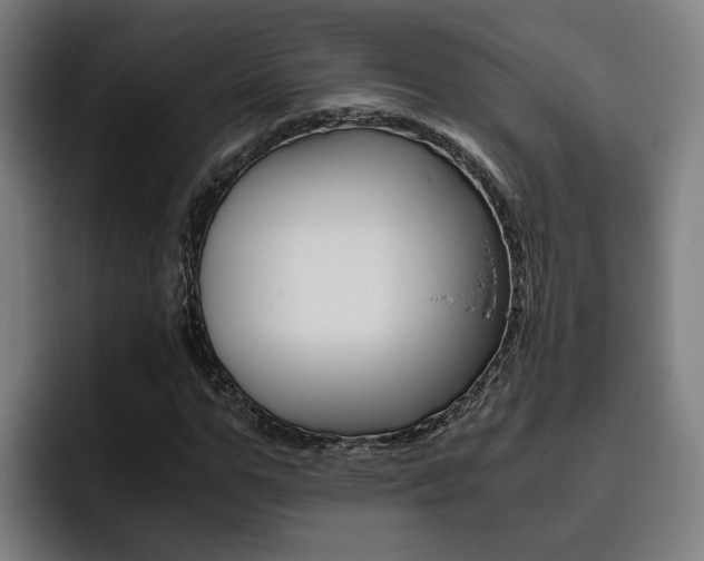 X0000093490967200710121010