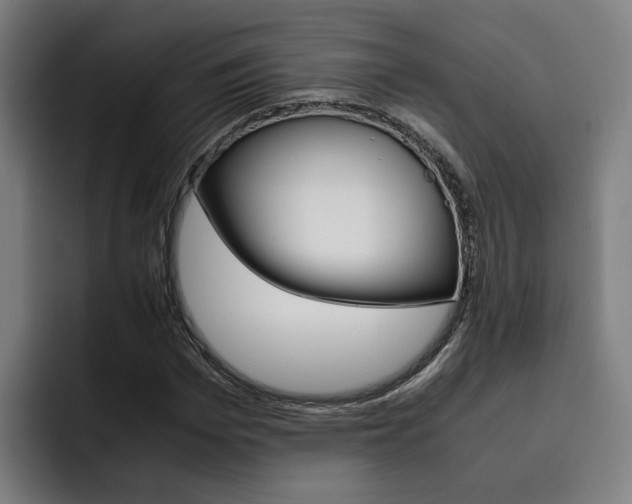 X0000093490969200710121010