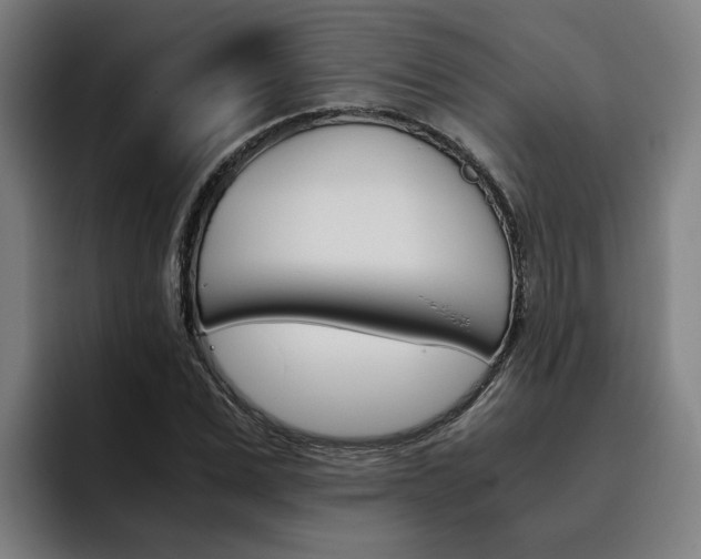 X0000093490975200710121010