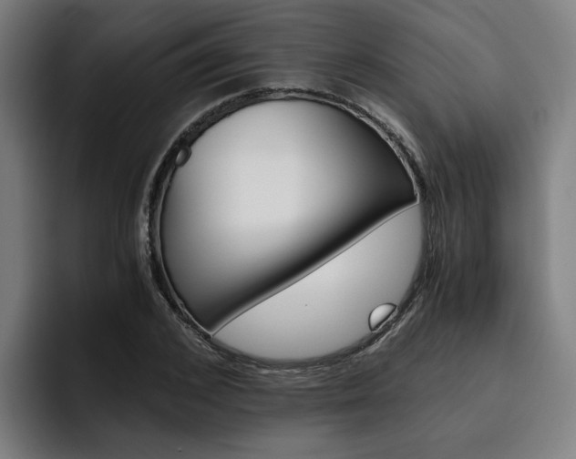 X0000093490976200710121010