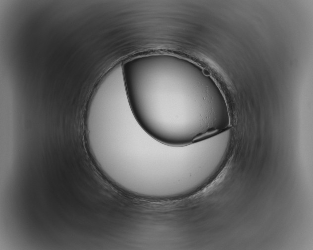 X0000093490977200710121010