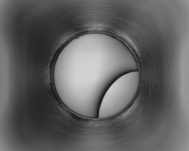 X0000093490978200710121010