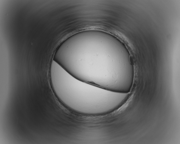 X0000093490985200710121010