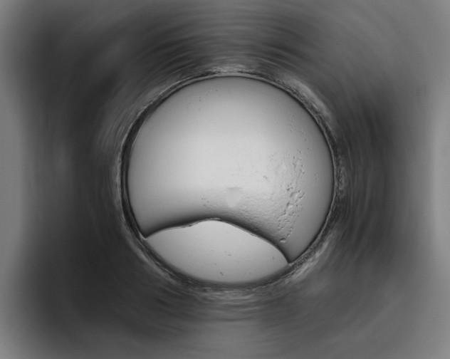 X0000093490986200710121010