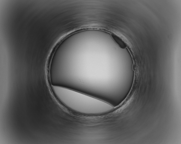 X0000093490989200710121010