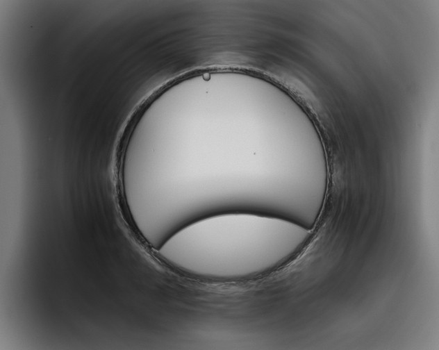 X0000093490990200710121010