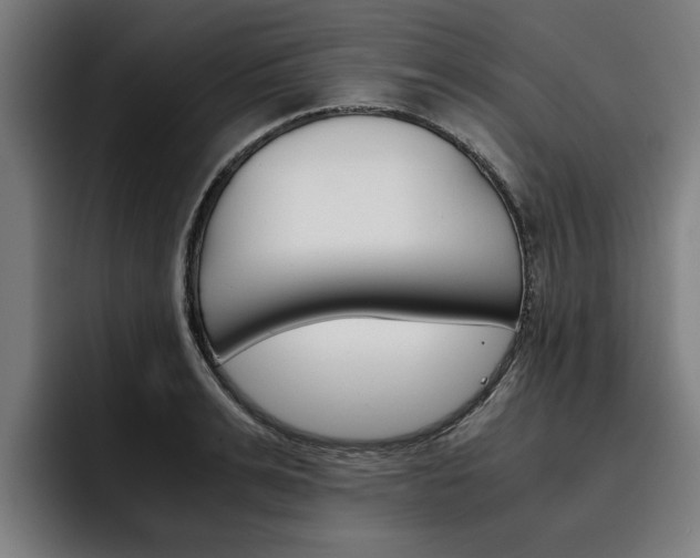 X0000093490991200710121010