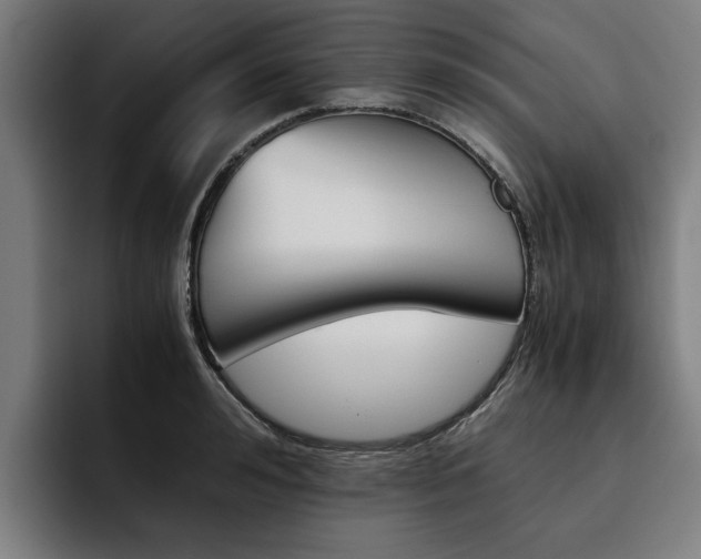 X0000093490992200710121009