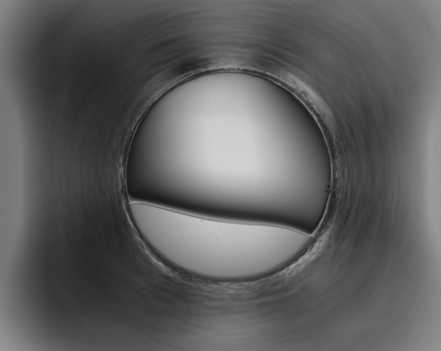 X0000093490993200710121009