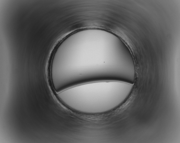X0000093490995200710121009