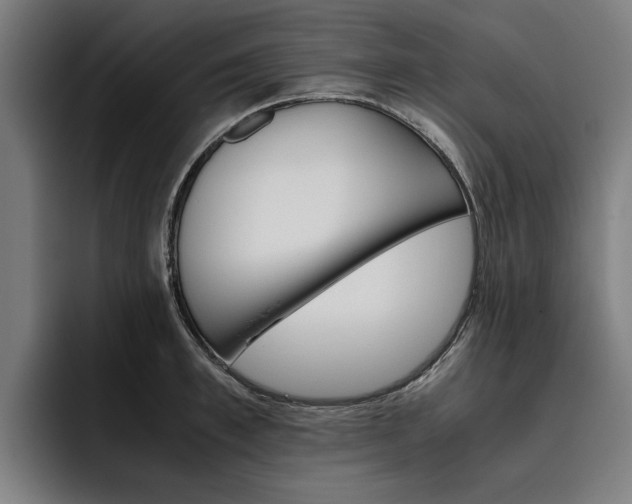 X0000093490997200710121009