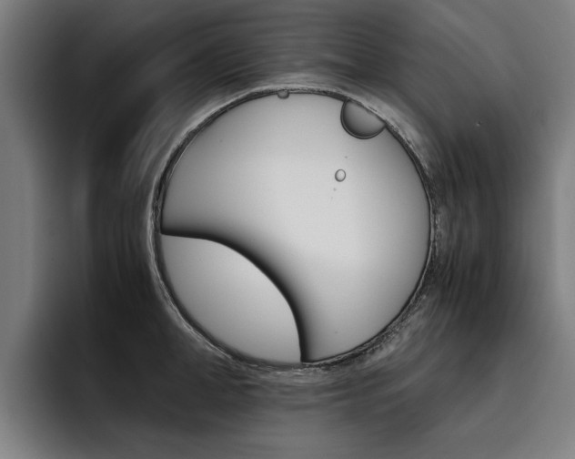 X0000093490998200710121009