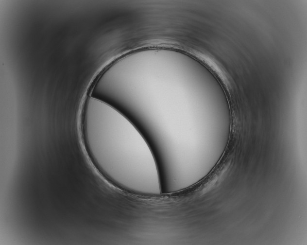 X0000093490999200710121009
