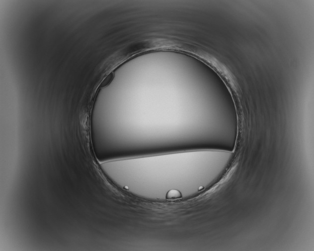 X0000093491001200710121009