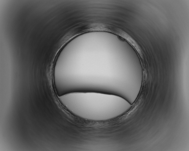 X0000093491002200710121009