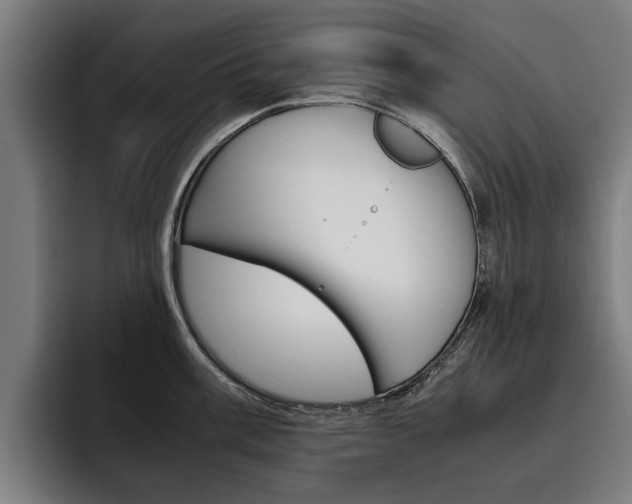 X0000093491003200710121009