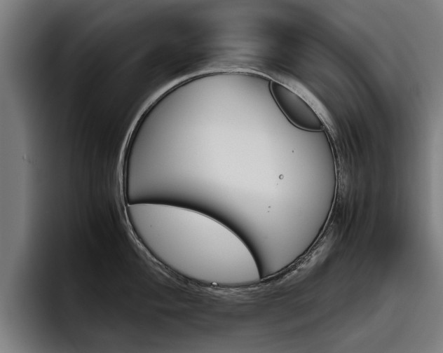 X0000093491004200710121009