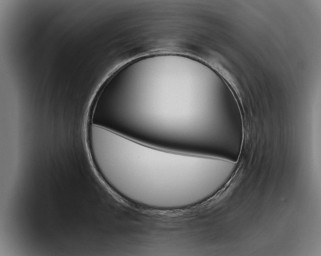 X0000093491005200710121009