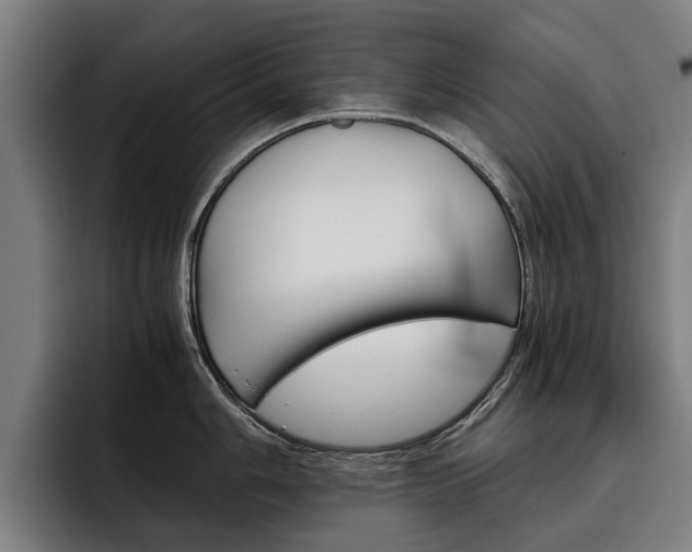 X0000093491006200710121009