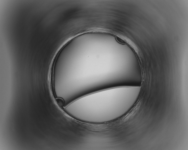 X0000093491007200710121009