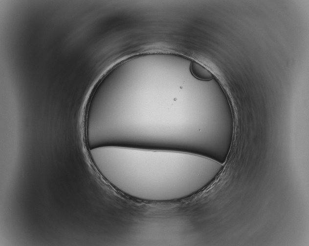 X0000093491008200710121009