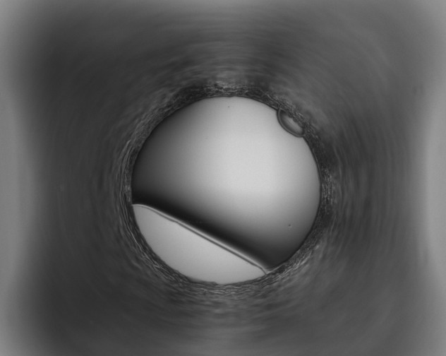 X0000093491009200710121009