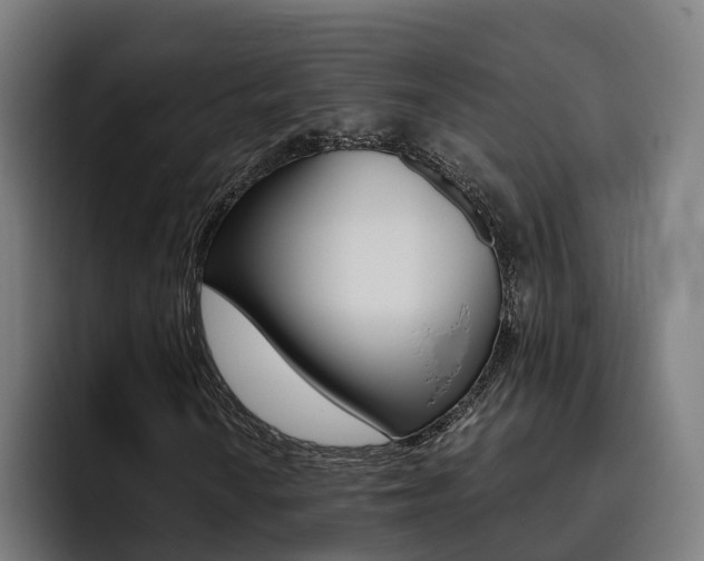 X0000093491010200710121009